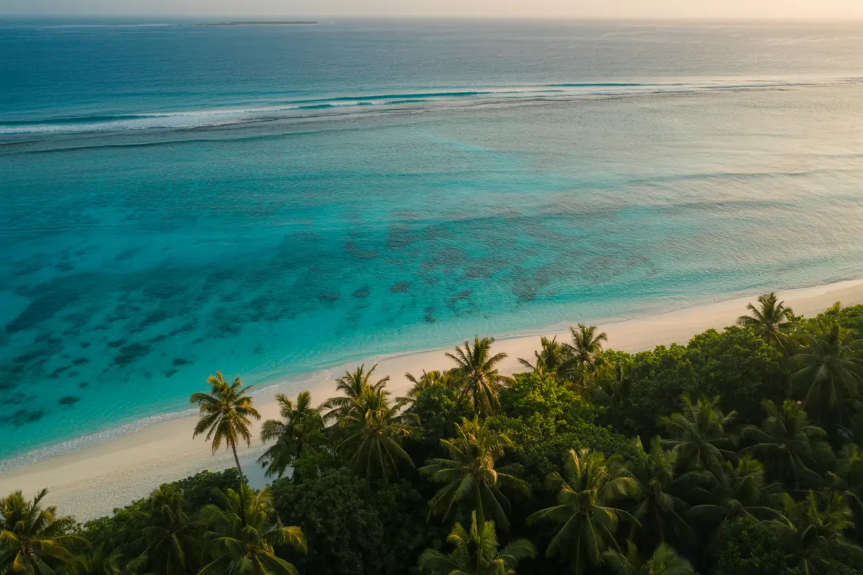 Avatar of Leo Collins