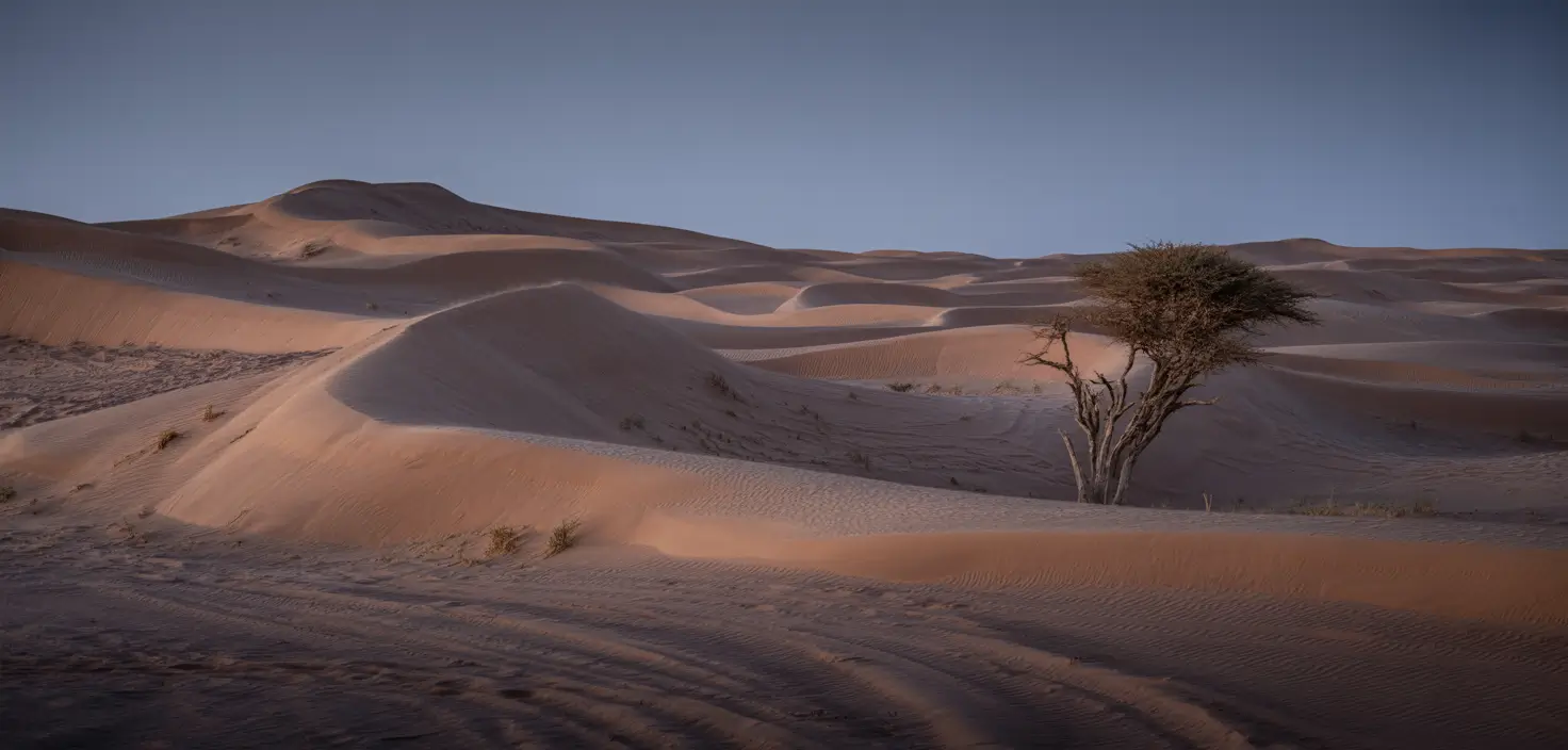 Avatar of Emery Hughes